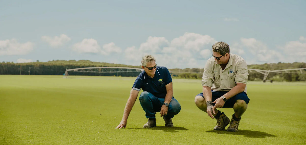 Turfworks Group